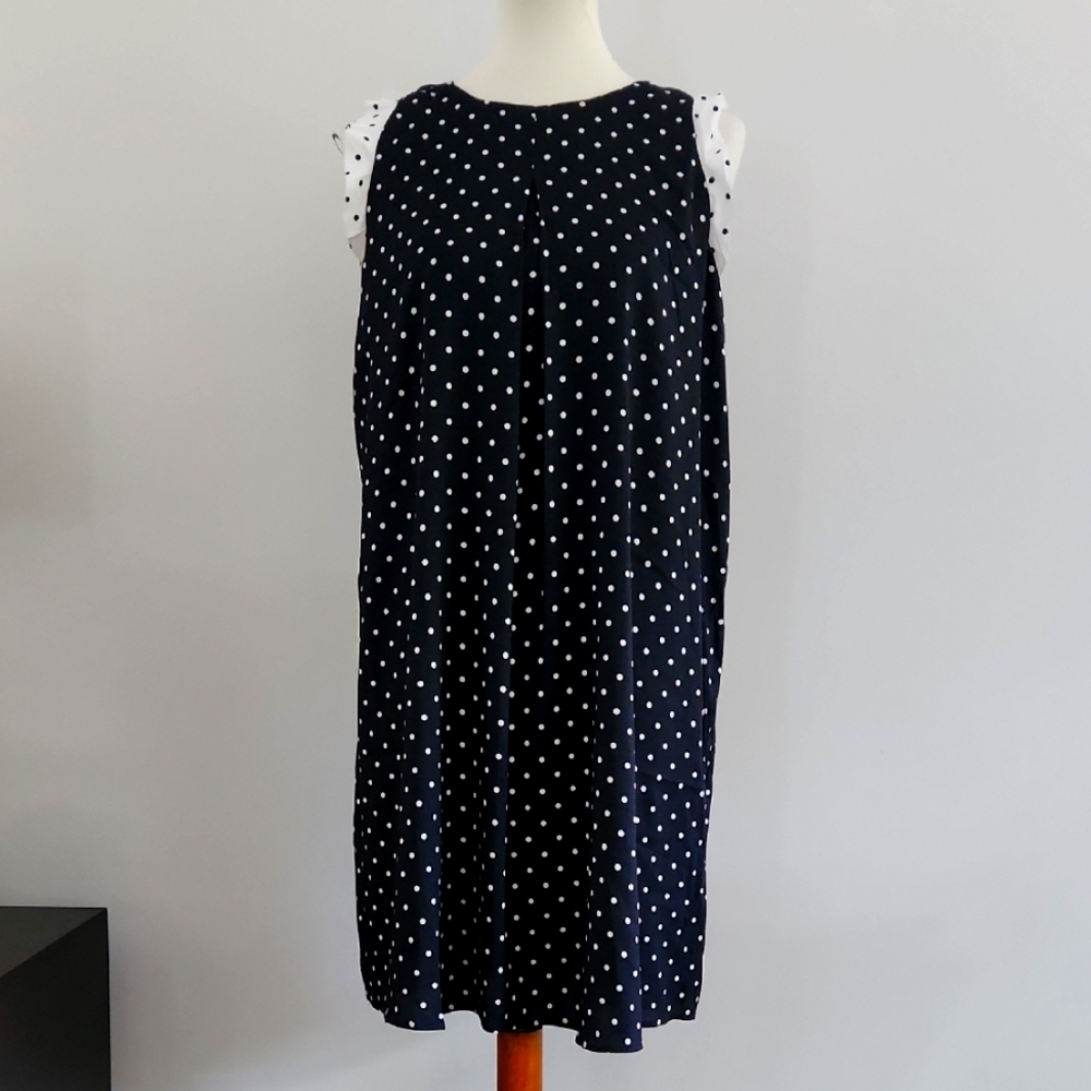 NWOT Ann Taylor Polka Dot Dress